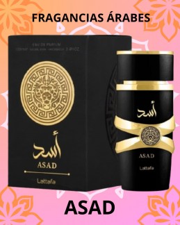 ASAD EDP X100